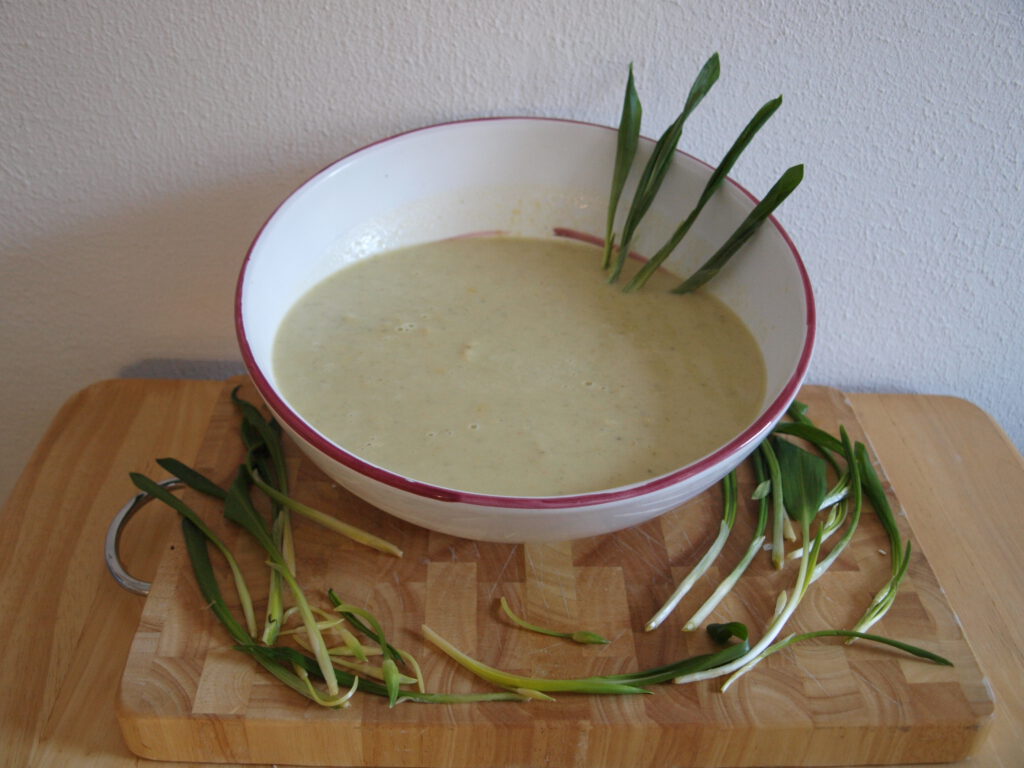 Bärlauch Suppe in dekorativer Suppenschüssel garniert mit Bärlauchblättern und umlegt von Bärlauchstielen